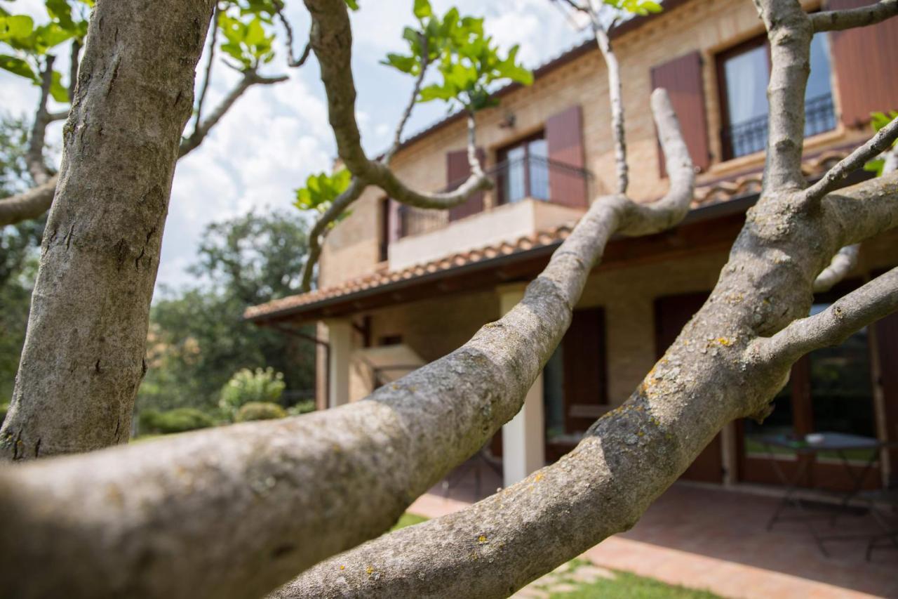 Casa Di Mi Acomodação com café da manhã Serrungarina Exterior foto